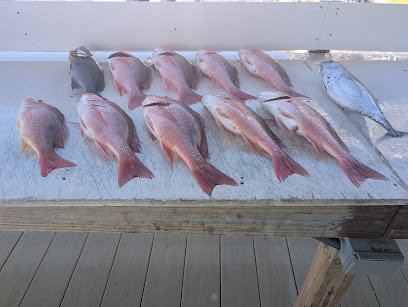 B and Z Charters LLC.