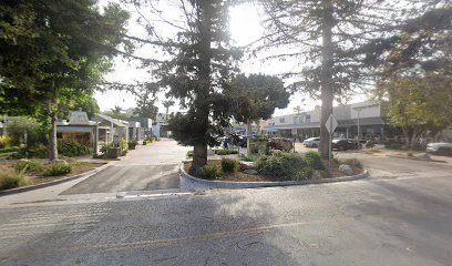 Public Art “Exec Action III”