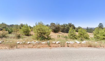 Elevation Art Installation