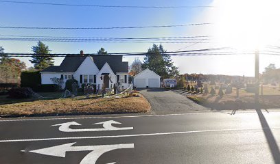 April and Mark’s Cartoon Christmas Display
