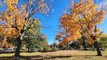 Eastern Woodland Homesite
