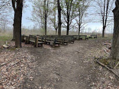Sacred Grove Gathering Place