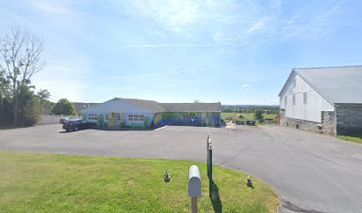 5 Nature Murals by Katie Trainer