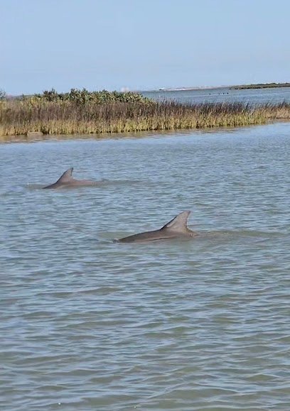 Chrissy’s Coastal Bend Adventures