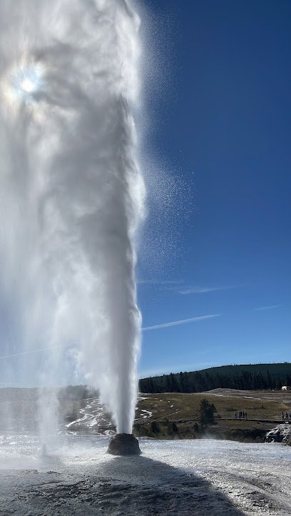 Beehive Geyser
